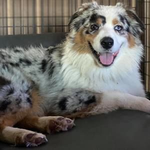 Meet your Posher, Terri